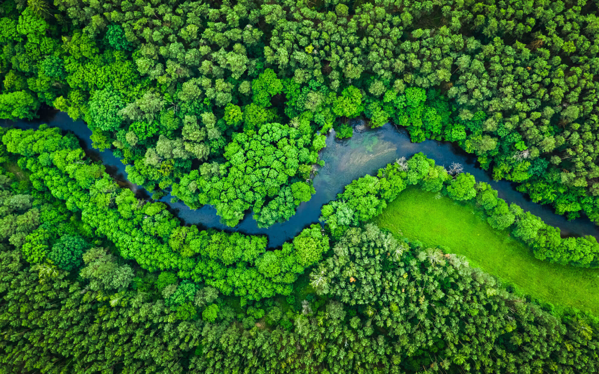 Aerial shot of a river running through a tropical jungle